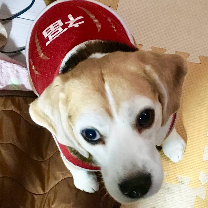 6b9956bc 93d1 49a4 a336 d114cebbe934 1732495882570