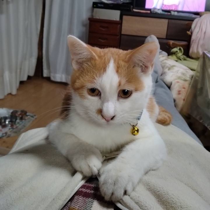 6b995f0f 270b 4fd0 bd87 6528b801f022 1734244072708