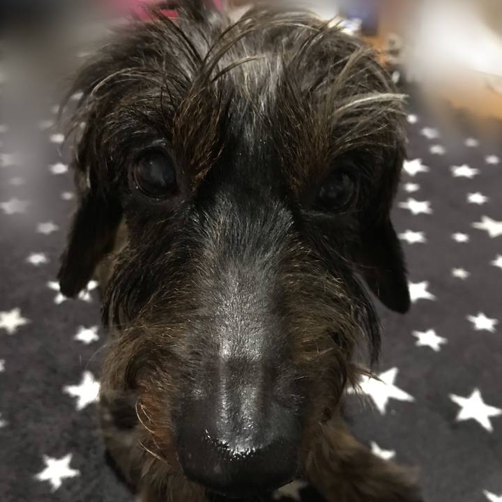 6b99c098 564b 4123 adc1 40454d5cebe9 1542118179510