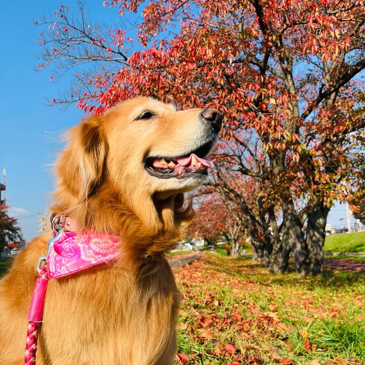 6b99f5e4 0993 48b8 8a05 f3d9f2a53833 1731468255066