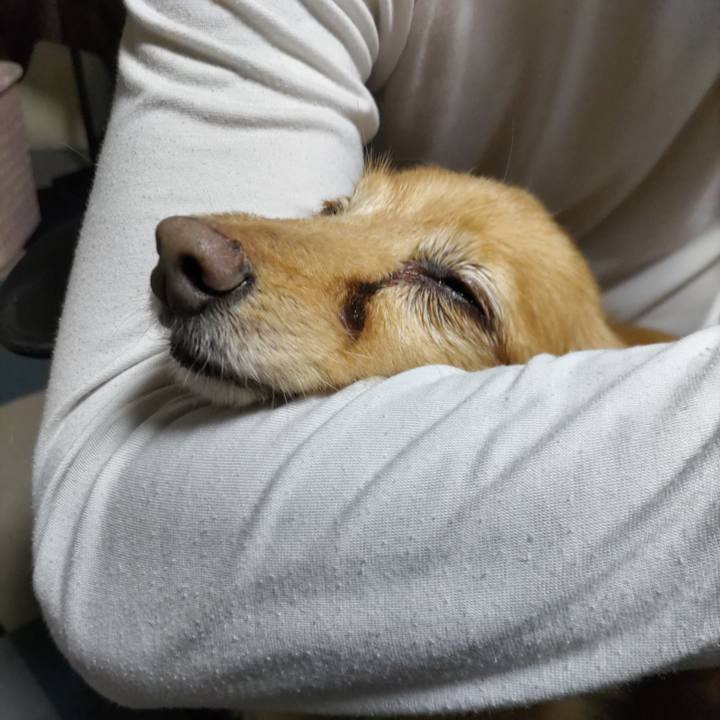 6b99f857 7502 4caf 9c87 1e2f6f1a559c 1668257586335