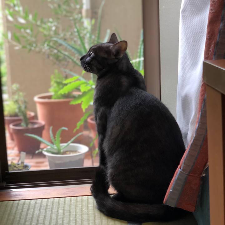 6b9a0d36 e2a9 4f6e bf15 09beff36e0cf 1599878109235