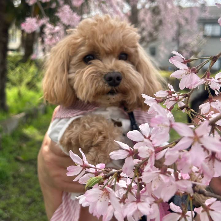 6b9a0e9d 93ee 4b5f a2c9 7682203a2f28 1712462327675