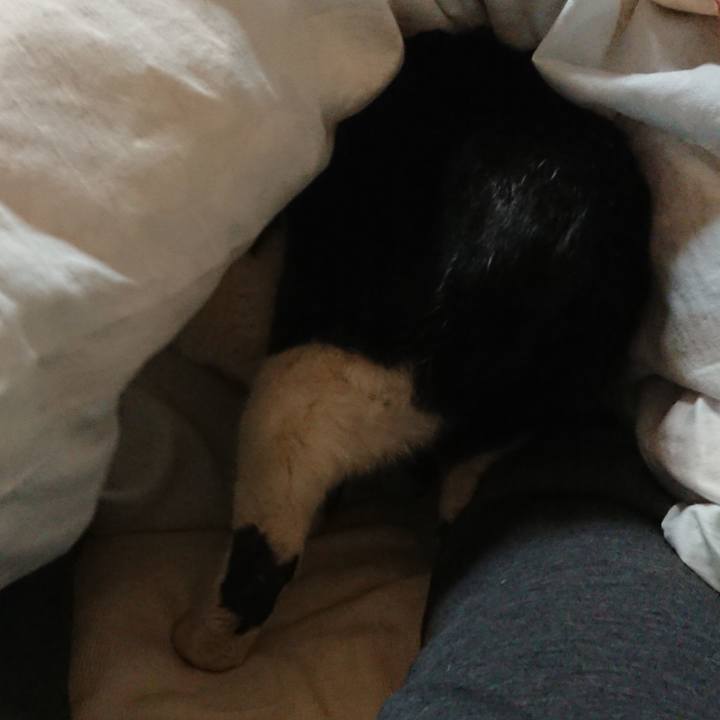 6b9a4759 2a18 4511 828e d2a55bd7e340 1675725827058