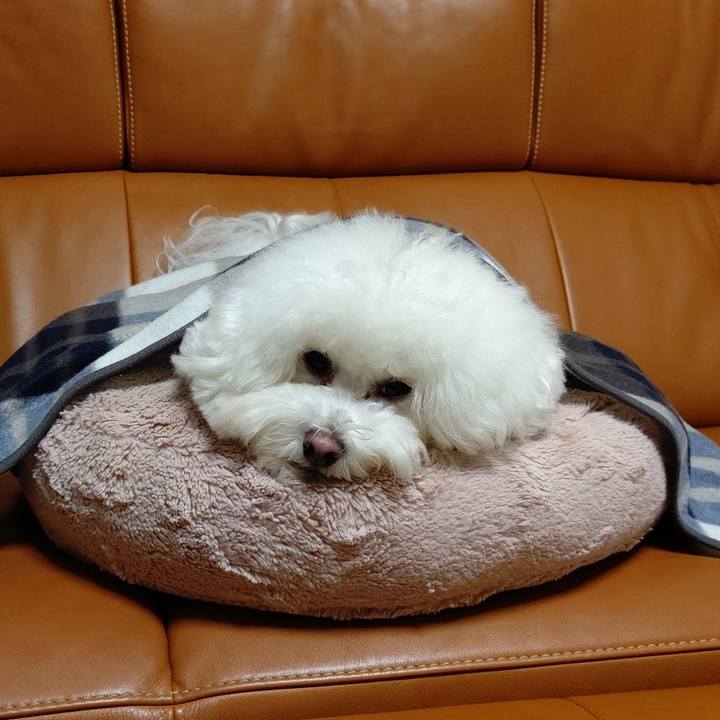 6b9a7ae4 7ff0 445c a7d3 3ffe188e5893 1606735338791