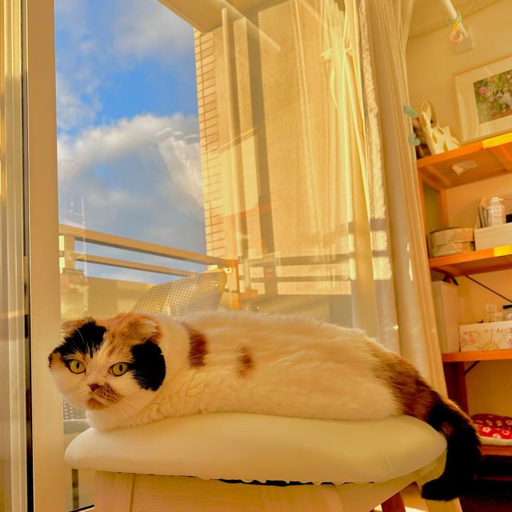 6b9a8334 ab16 458f 82b5 a1934260d571 1701642635422