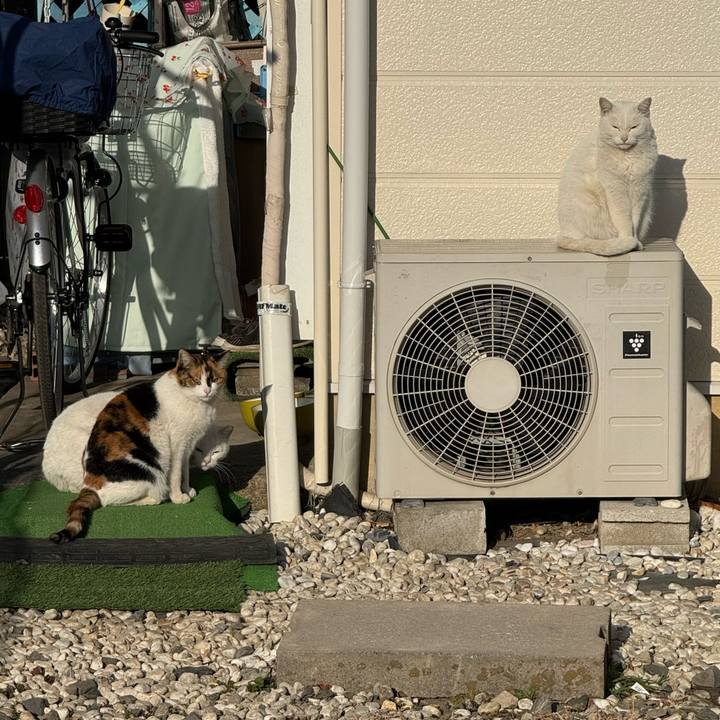 6b9ab1e7 6077 4de2 ac4f 801ae7514ec2 1769739650784