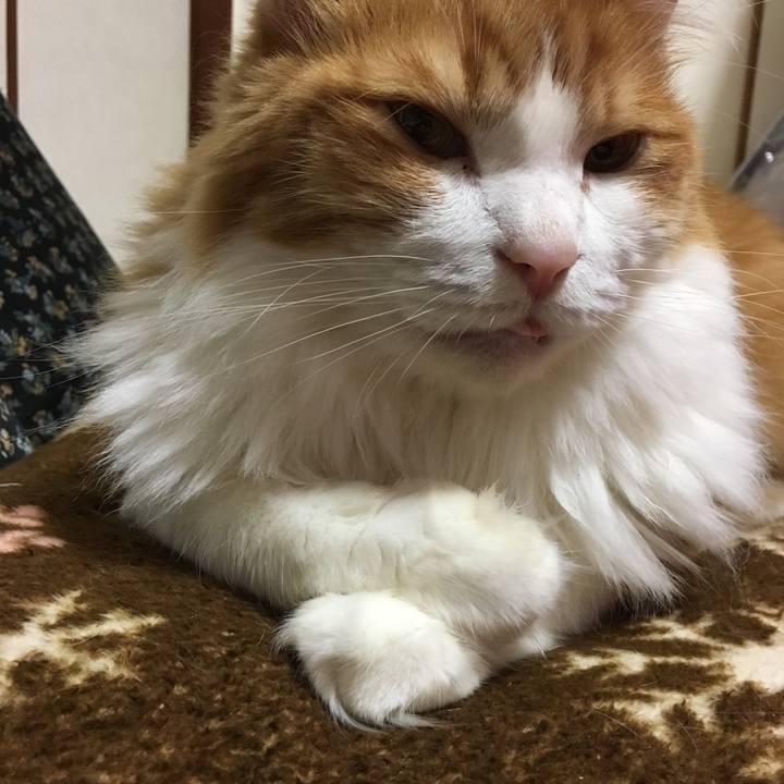 6b9ab380 2691 4e2a 933a 12cbaa98aa94 1543567471888