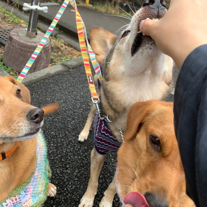 6b9ad035 8cd6 41e3 8438 a3f98c33129d 1573433843095