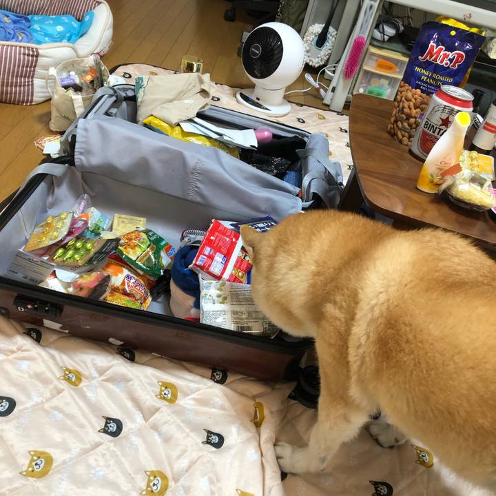 6b9b0736 fd1f 476c 87b2 a1a42e0eeb85 1565262510830