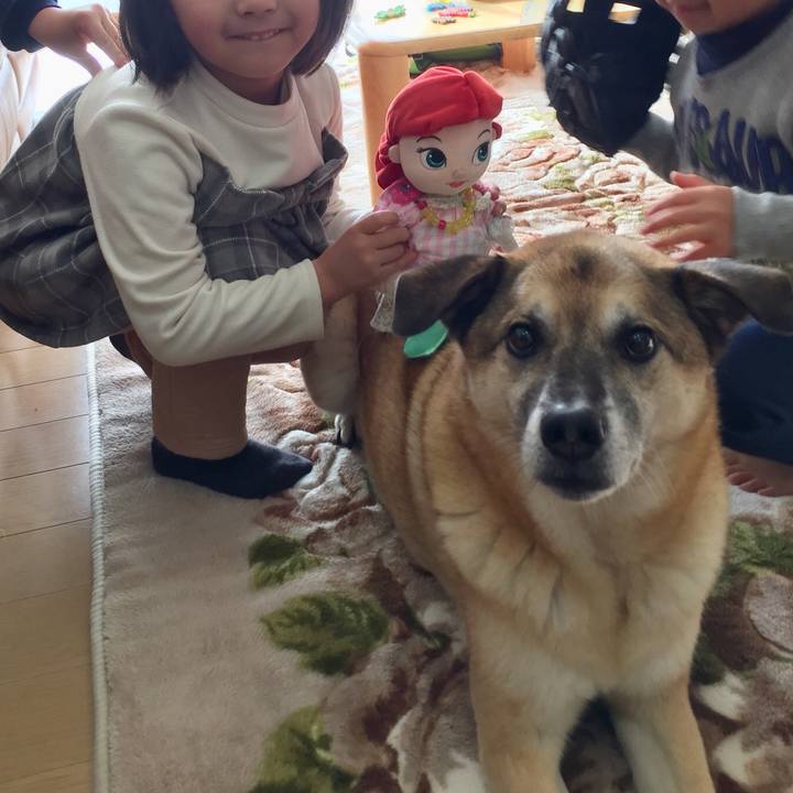 6b9b2530 ab26 416c 982f 11c2930d2e30 1546230128306