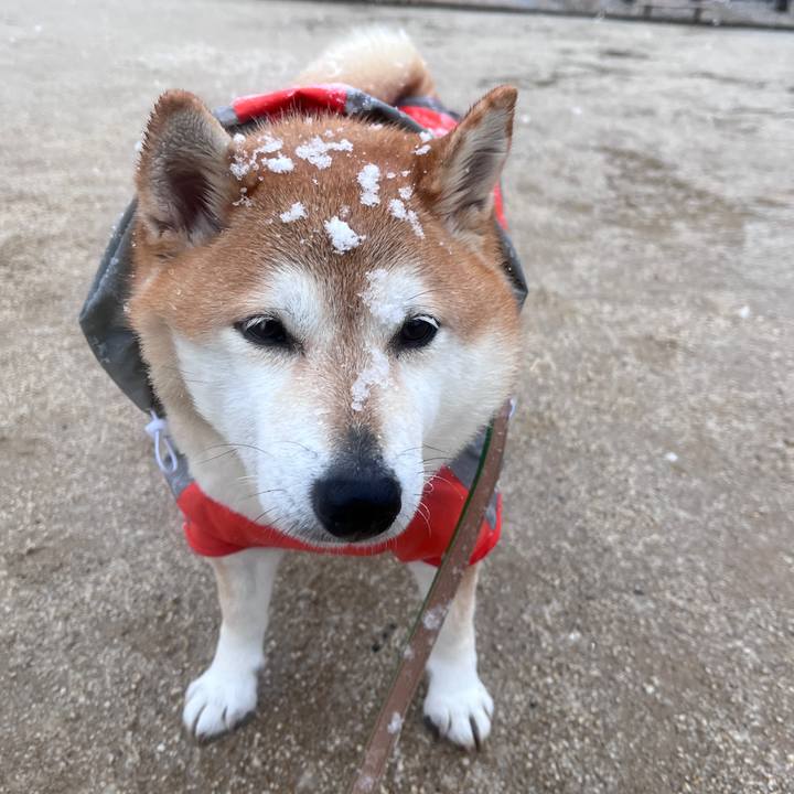 6b9b41e0 5805 45ec 846e d9f72309e4fe 1707112830740