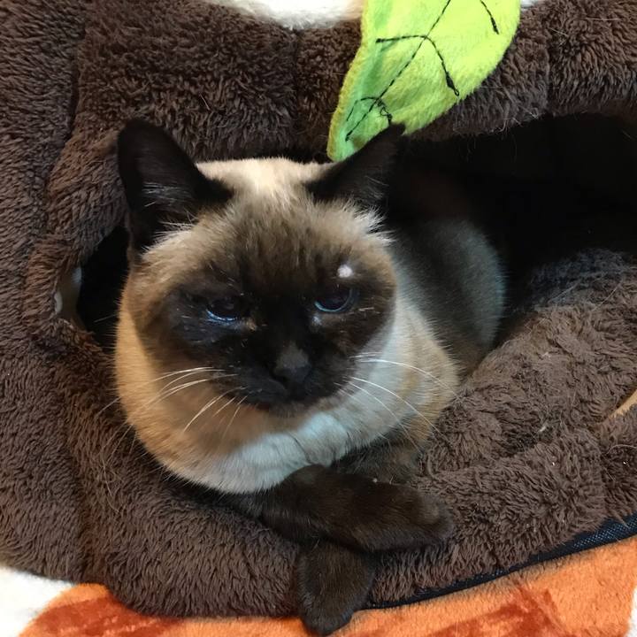 6b9b49a9 3d61 4da0 b27c 980432e2c09a 1546843448348