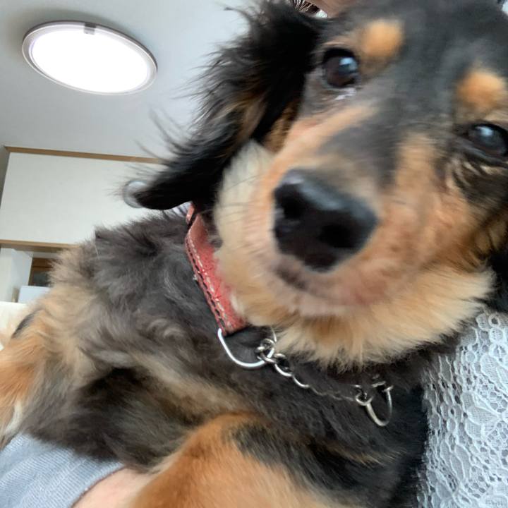 6b9b5637 0a96 487f ac9e 97d799769fe4 1588975459320