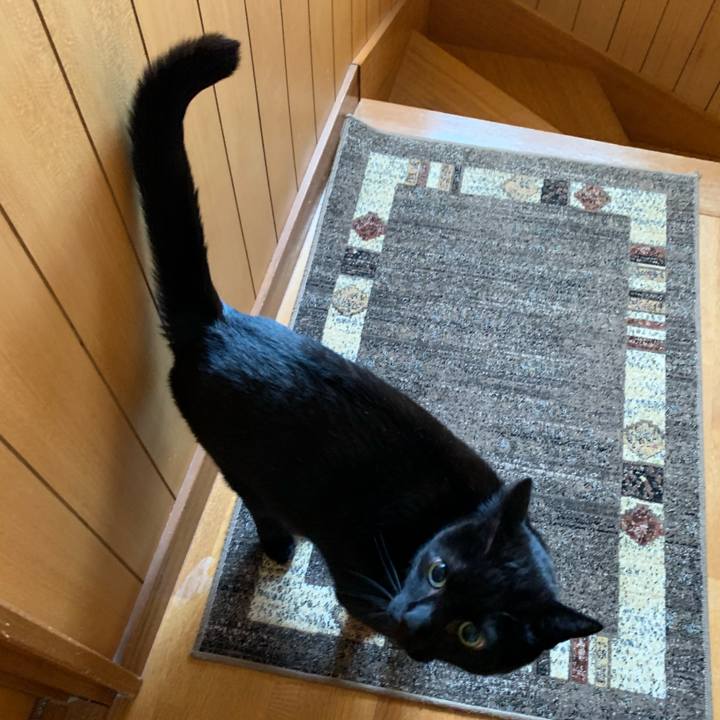 6b9b6903 d2fd 44f9 91a6 3dd1c840a795 1553475053127