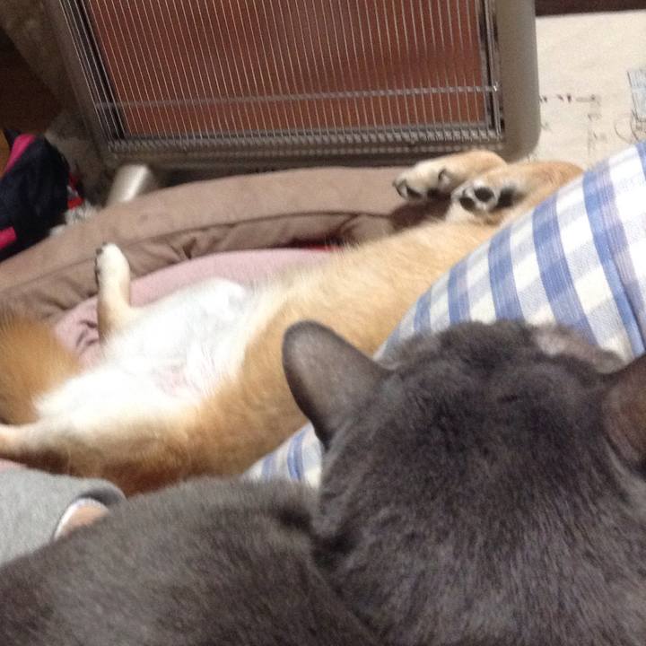 6b9be693 b3ef 41f7 9d8b 26bebe65e3e2 1515304496697