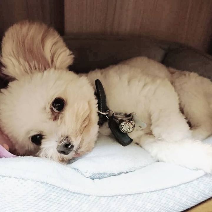 6b9bfcdf 6305 403a 9cf9 b4b62e51d4da 1535993148351