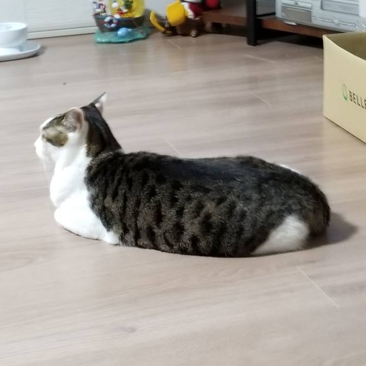 6b9c0a74 357a 4fce 91a9 187c2b4c3942 1616324718144