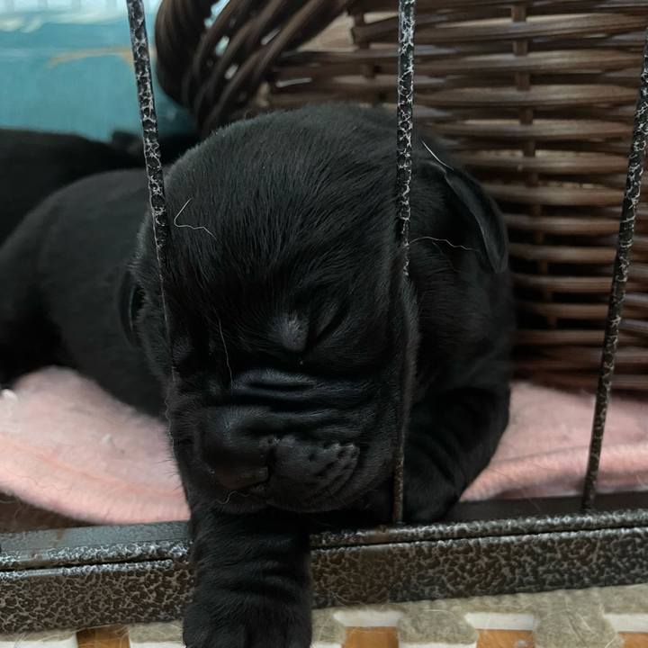 6b9c2060 4306 4cf1 b165 1e544b84f7ee 1625433262907