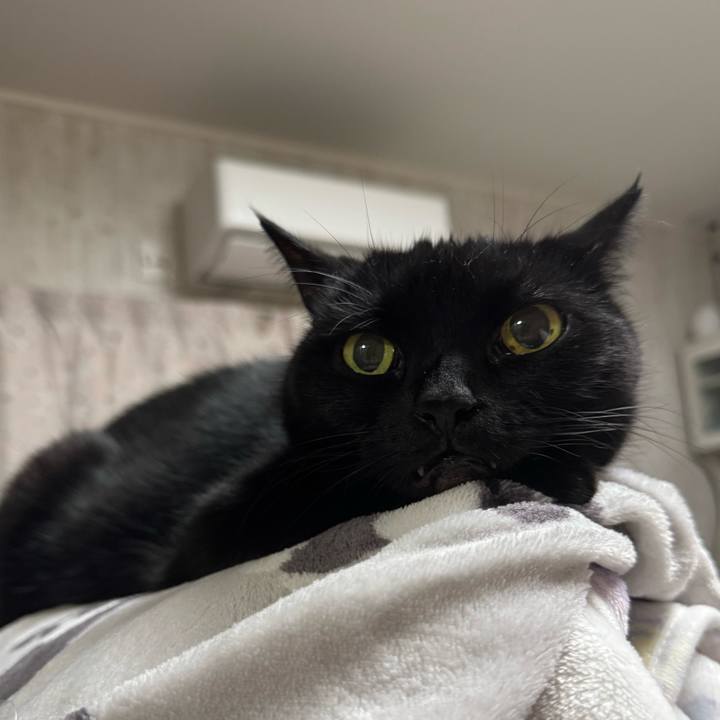 6b9c30c0 20ad 4d11 ad65 38b73cde5a53 1763780901346