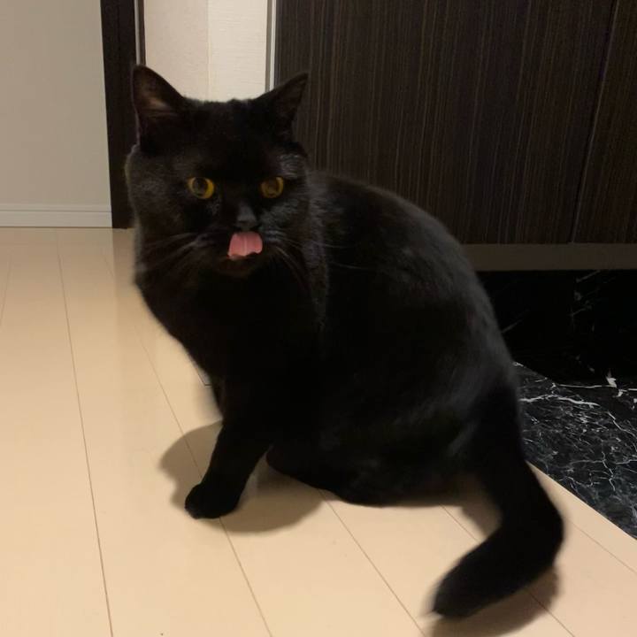 6b9c58f3 7ef4 4fd4 9e7f 54a5f6402421 1632908228078