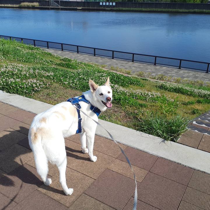 6b9cb1d3 0873 41a5 87df dbb987481dfb 1683257850421