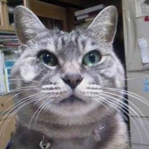 6b9cea23 0237 4584 a3d1 e5f106f2cb7a 1574903381034