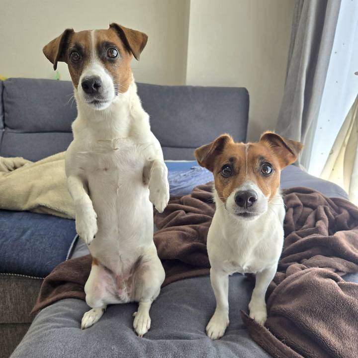 6b9cf047 9533 4826 8743 8c267db46bf0 1773719515320