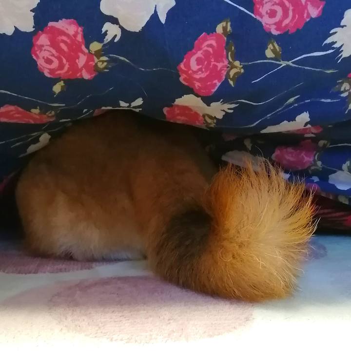 6b9d0786 6589 4aed b406 3b999f838fe3 1645359830080