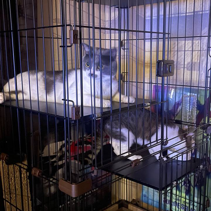 6b9d135e ce74 47ba 9504 9ddd2dd539fb 1629544422436