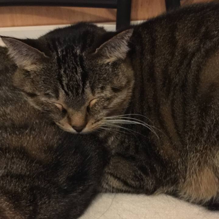 6b9d3198 e7cf 4ae4 98cf 480ec4ee45d9 1575199751257