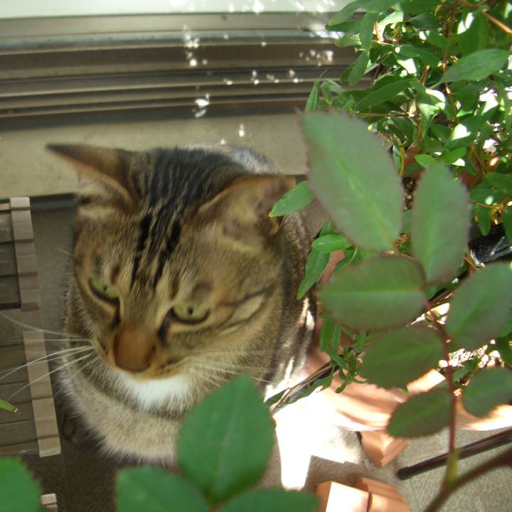 6b9d5779 0680 4efc 8d47 b391c151c6ad 1583649449838