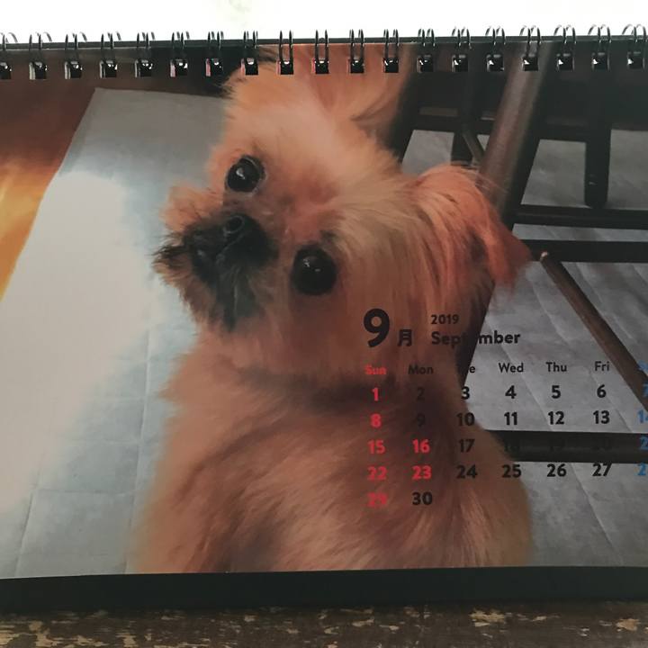 6b9da53c 5b9b 4ee1 9b35 d053e10f0f64 1567558473613