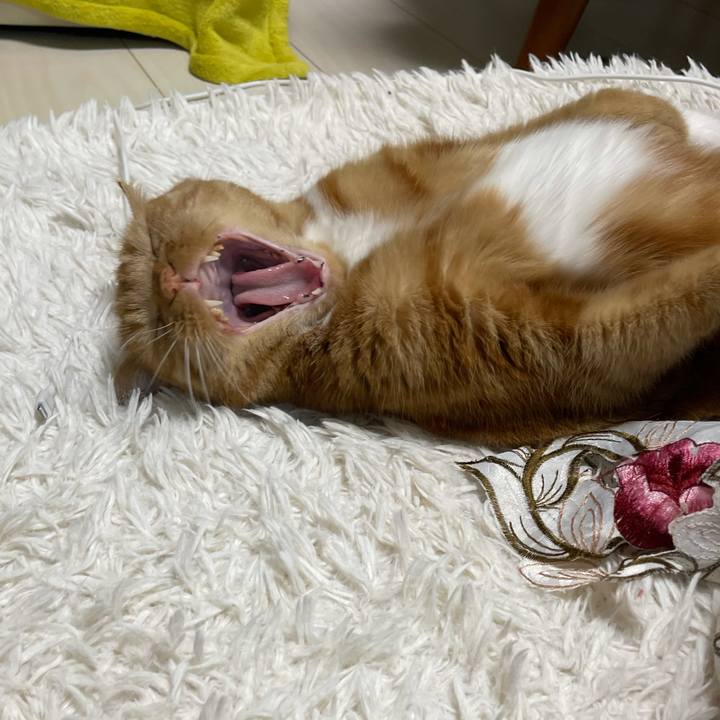 6b9dce79 4f7b 4d80 9c1f f15c9c0c7404 1626000427290