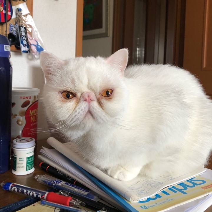 6b9df8a3 84c2 4081 b018 8aded159c7bc 1678088703634