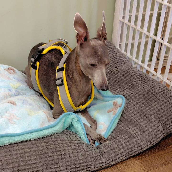 6b9df91d 503f 4ea4 aab5 2e1e17951a5e 1775036704827