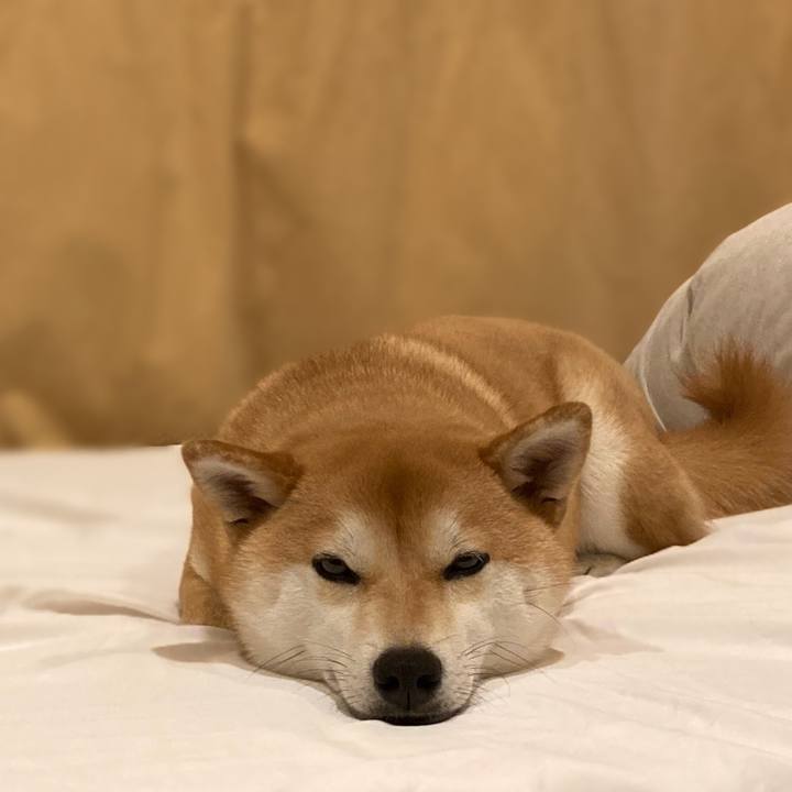 6b9e48a7 aab5 4e1c 88b0 7e88976aa712 1682424559911