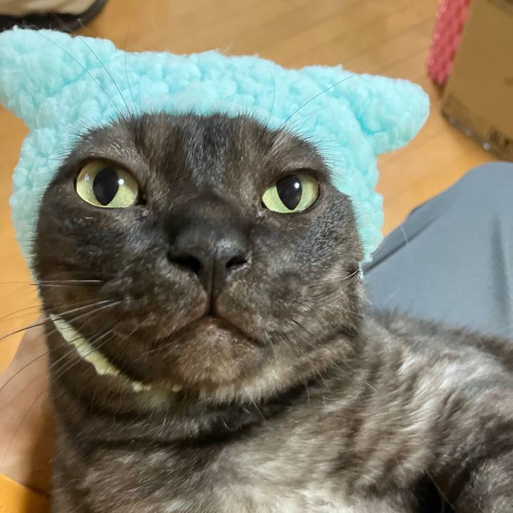 6b9e94ed 56d2 4ca7 9b2c f6fb11039e0a 1738409729402