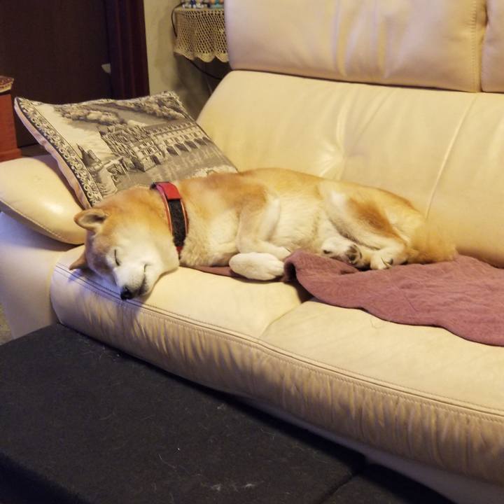 6b9e9bd7 d80e 487e b546 26966987ce6b 1735944593679