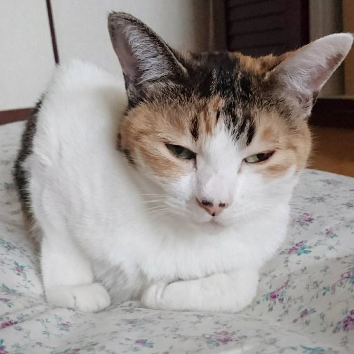 6b9eb004 37c8 448b b3d9 9969df0d3cdf 1577935496297