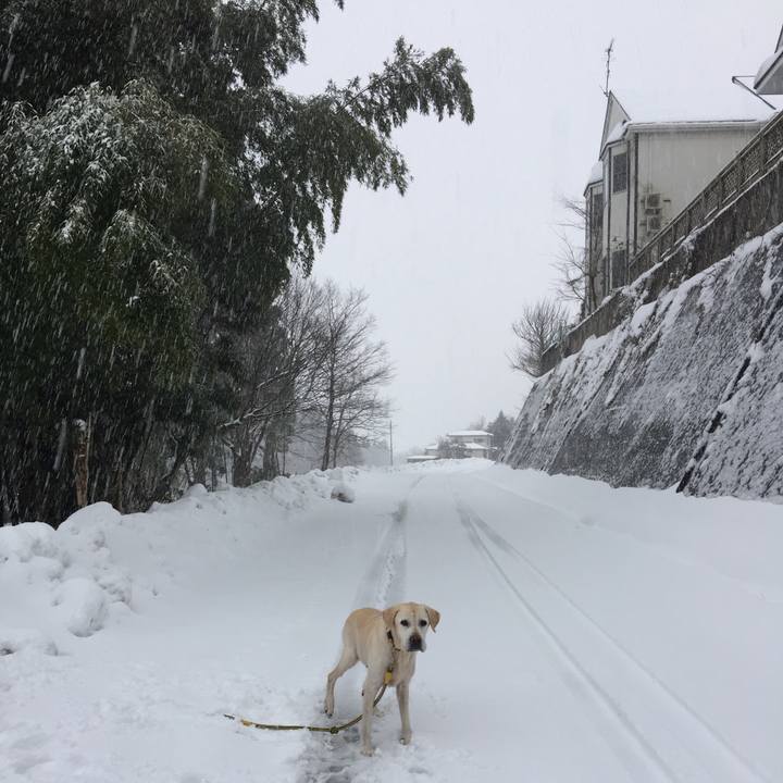 6b9ebc58 fafe 41f4 a92e 778b50b85378 1514535586706