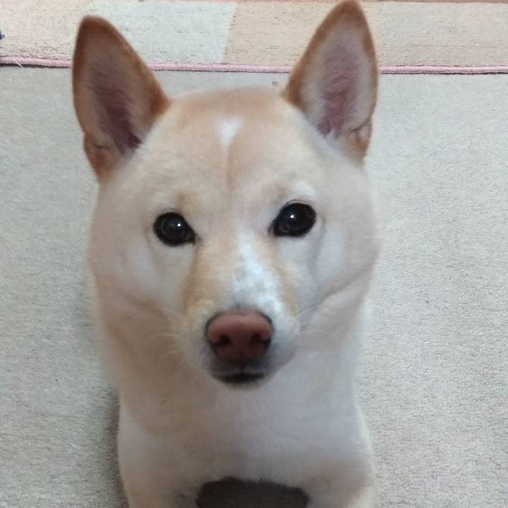 6b9ed65d befe 4b8c 8888 97bb5fffceb0 1582668975336