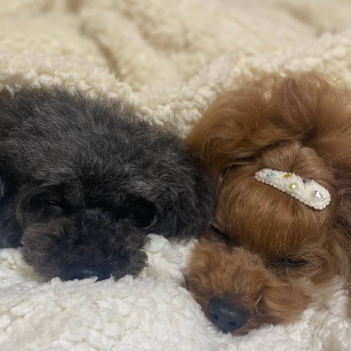 6b9ed8e9 5e01 4a9d ae81 dd81edb22732 1584142363924