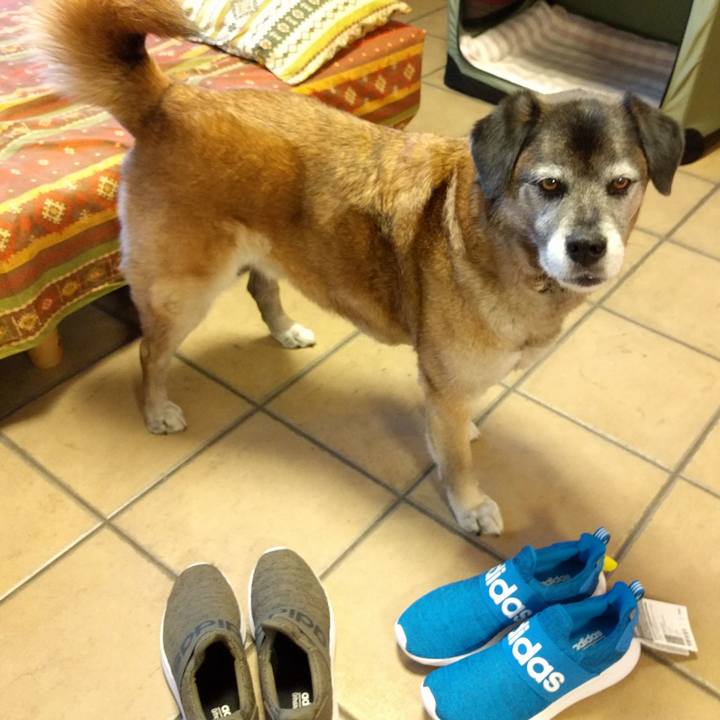 6b9efd64 5e9f 4a76 9c00 f4287e030368 1522824648097