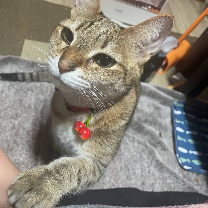 6b9f0b64 34ad 4e4e b924 5412aaf11816 1743339065128