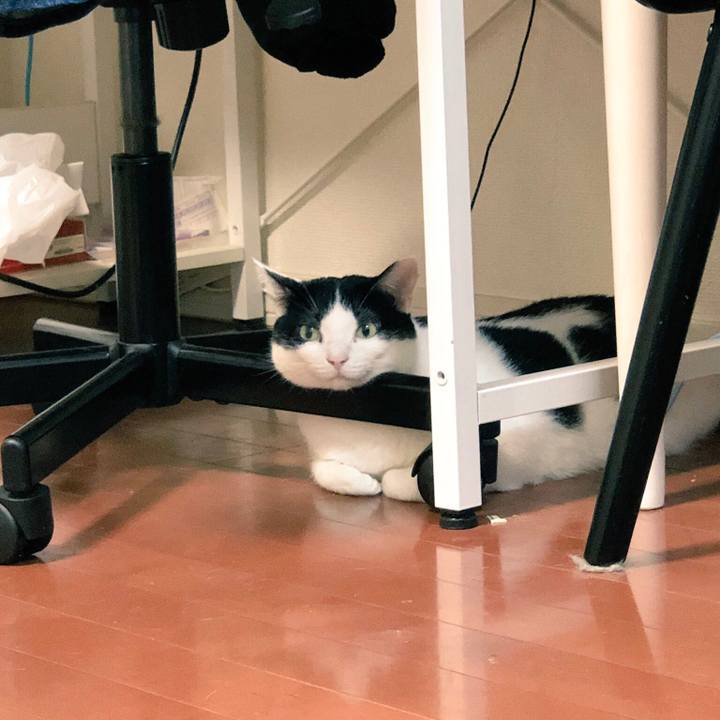 6b9f2b50 4626 481e b114 f08b409bdb58 1533870962949