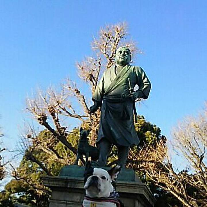 6b9f3d62 deac 463f b900 7ebfe32f3d7b 1514962001580