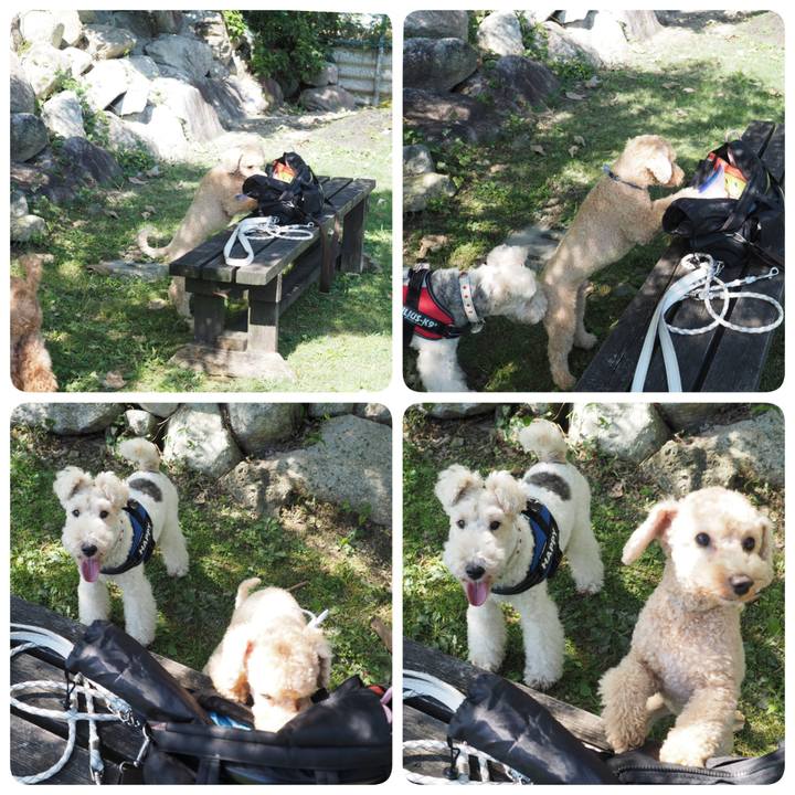 6b9f4c72 97e2 4088 b5df f907ff9b5c86 1570432028341