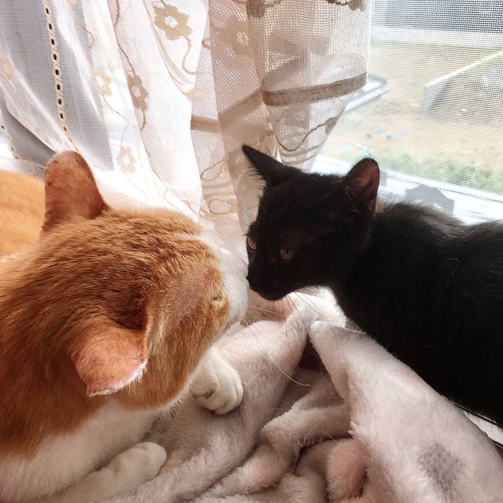 6b9f8469 e6d8 41c3 bea0 c784830f6df8 1626058010354