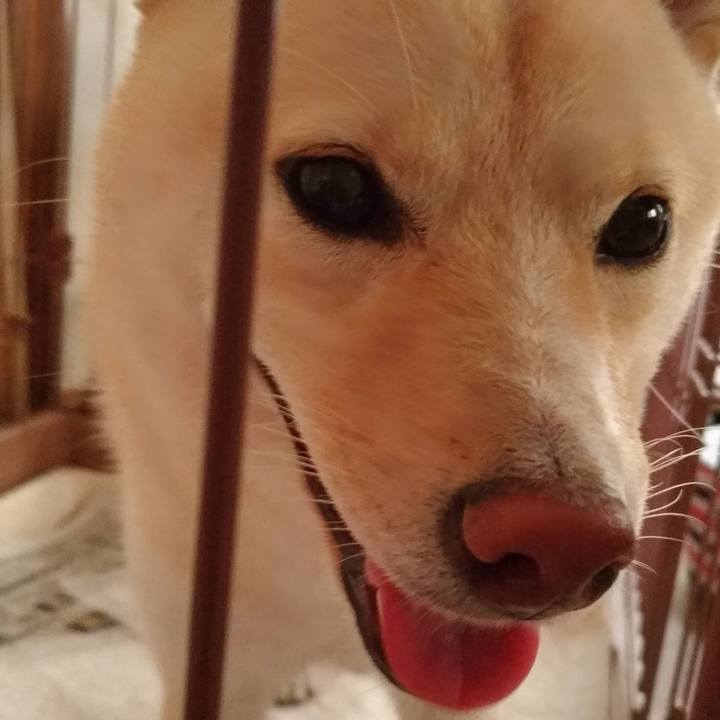 6b9fb71b 553f 4d07 94e9 68ccca294292 1532125029912